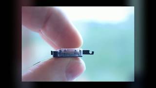 PiezoWave  Miniature piezo motor [upl. by Genaro]