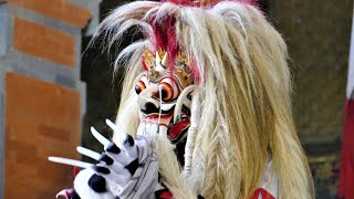 BALI BARONG DANCE  The Eternal Battle Between Good and Evil [upl. by Knoll]