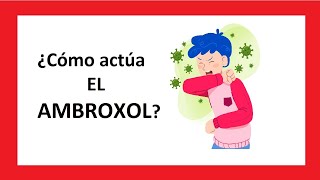 ¿Cómo actúa EL AMBROXOL [upl. by Skeie368]