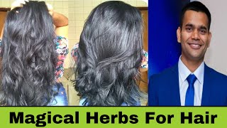 2 Magical Herbs For Hair Growth  Dr Vivek Joshi [upl. by Friedrich]