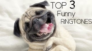 Top 3 Funny Ringtones  download links  DiscoverNew [upl. by Nagah]