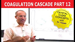 Coagulation Cascade  Part 1212 [upl. by Filberte]