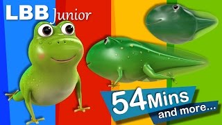 Life Cycle of A Frog Song  And Lots More Original Songs  From LBB Junior [upl. by Novi]