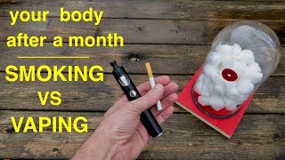 How Smoking vs Vaping Affects Your Lungs ● You Must See This [upl. by Lacagnia]