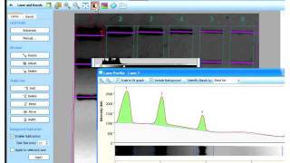 Image Lab Analysis Tutorial [upl. by Simaj]