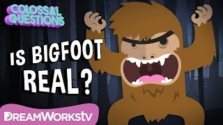 Could Bigfoot Be Real  COLOSSAL QUESTIONS [upl. by Nalehp]