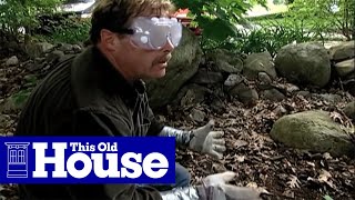 How to Clear Poison Ivy  This Old House [upl. by Simmonds101]