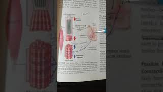 GOLGI TENDON REFLEX ORGAN Neurophysiology [upl. by Lehcor]