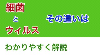 【簡単4分解説】細菌とウィルスの違い 大きさや治療法、ワクチンなどについて [upl. by Tima]