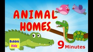 Learn About Different Animal Names And Homes  Animal Names And Homes For Kids [upl. by Arita]