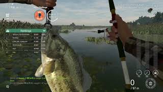 Fishing Planet Everglades Bass Challenge 1st place [upl. by Eimyaj528]