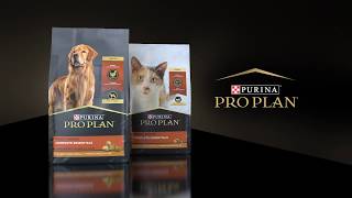 Purina Pro Plans New Dog amp Cat Food Packaging Design [upl. by Vinna]