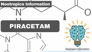 Piracetam  Nootropics Information [upl. by Boudreaux191]