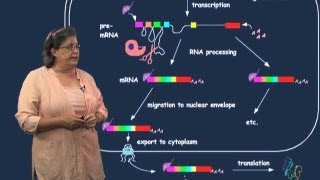 Muscular Dystrophy  Duchenne Becker and Mytonic [upl. by Stavro]