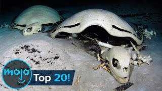 Top 20 Creepiest Things Found in the Ocean [upl. by Yssis928]