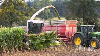 Ensilage de Sorgho fourrager avec une Ensileuse Claas Jaguar 890 [upl. by Bitthia]