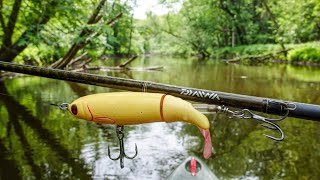 Whopper Plopper 130  What Will EAT IT  Michigan River Fishing [upl. by Jenne]