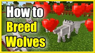 How to BREED Wolves and Dogs in Minecraft amp Make Babies Easy Method [upl. by Ysirhc536]