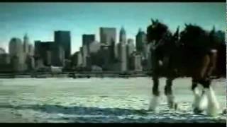 Budweiser 911 tribute commercial [upl. by Alios730]