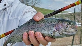 Pesca a trota lago striscio tremarella e penna [upl. by Tseng116]