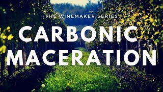 Carbonic Maceration  Wine making process and Beaujolais tasting [upl. by Eenram]