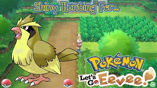 Shiny Hunting a Pidgey  Pokemon Lets Go Eevee [upl. by Changaris]