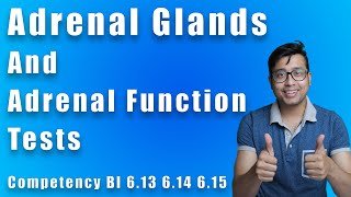 Adrenal Glands and Adrenal Function tests for medicos  Biochemistry competency 613 614 615 [upl. by Rowell]