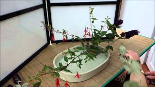 Ikebana in 10 minutes Part 2 [upl. by Alekehs]