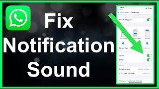 How To Fix WhatsApp Notification Sound EASY [upl. by Sellig963]