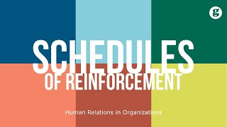 Schedules of Reinforcement [upl. by Nirok]