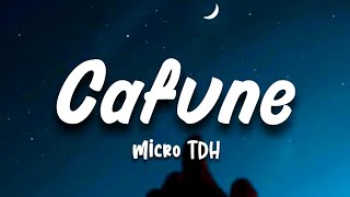 CAFUNE  MICRO TDH LetraLYRICS [upl. by Lemal]