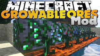 Minecraft  GROWABLE ORES MODS  NEW WAYS TO GROW ORES [upl. by Jessy]