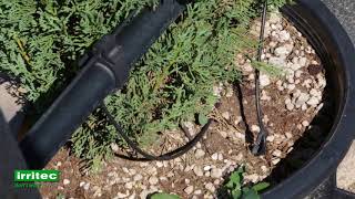 Irritec Drip Irrigation Solutions 3 [upl. by Cj181]