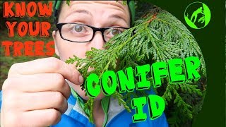 Know Your Trees  Conifer Identification [upl. by Sylera]