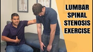 Lumbar Spinal Stenosis Exercise Routine [upl. by Benny]