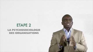 Psychosociologie des organisations [upl. by Steele306]