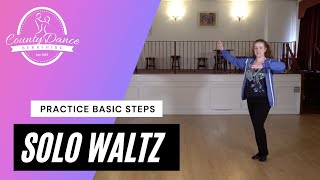 Waltz Basic for Solo Practice [upl. by Auria523]