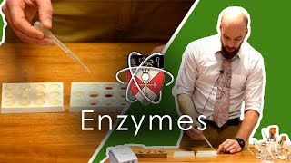 Enzymes  GCSE Science Required Practical [upl. by Cj679]