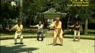 18 Chi Quong Shibashi Tai Chi Qigong 18 [upl. by Nuyh150]