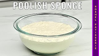 How To Make Biga  Poolish  Sponge   Kosher Pastry Chef [upl. by Rojas597]