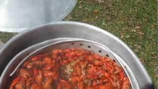 How To Boiling Crawfish Louisiana Style [upl. by Aiyekal]