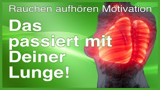 Rauchen aufhören Motivation  das passiert mit der Lunge [upl. by Yddor]