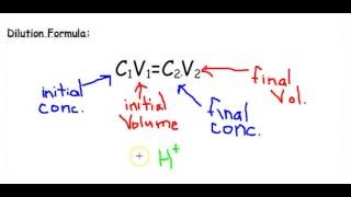 Stock Solutions amp Dilutions [upl. by Seugram]