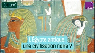 LÉgypte antique une civilisation noire  La thèse controversée de Cheikh Anta Diop [upl. by Dorisa]