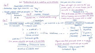 KANT Fundamentación de la metafísica de las costumbres Español [upl. by Abdulla]