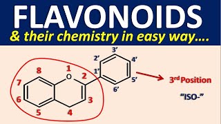 Flavonoids and their chemistry in easy way [upl. by Greysun]