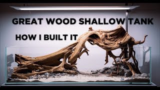 Great Wood shallow aquarium  Aquascaping tutorial [upl. by Capon]