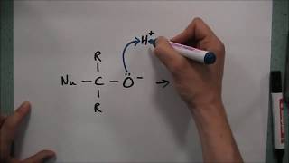 Nucleophilic Addition [upl. by Remot]