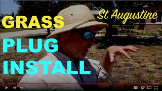 How To Install St Augustine Grass Plugs [upl. by Leanor106]