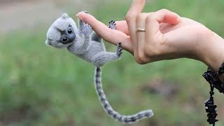 10 Cutest Exotic Animals In The World [upl. by Berkow]